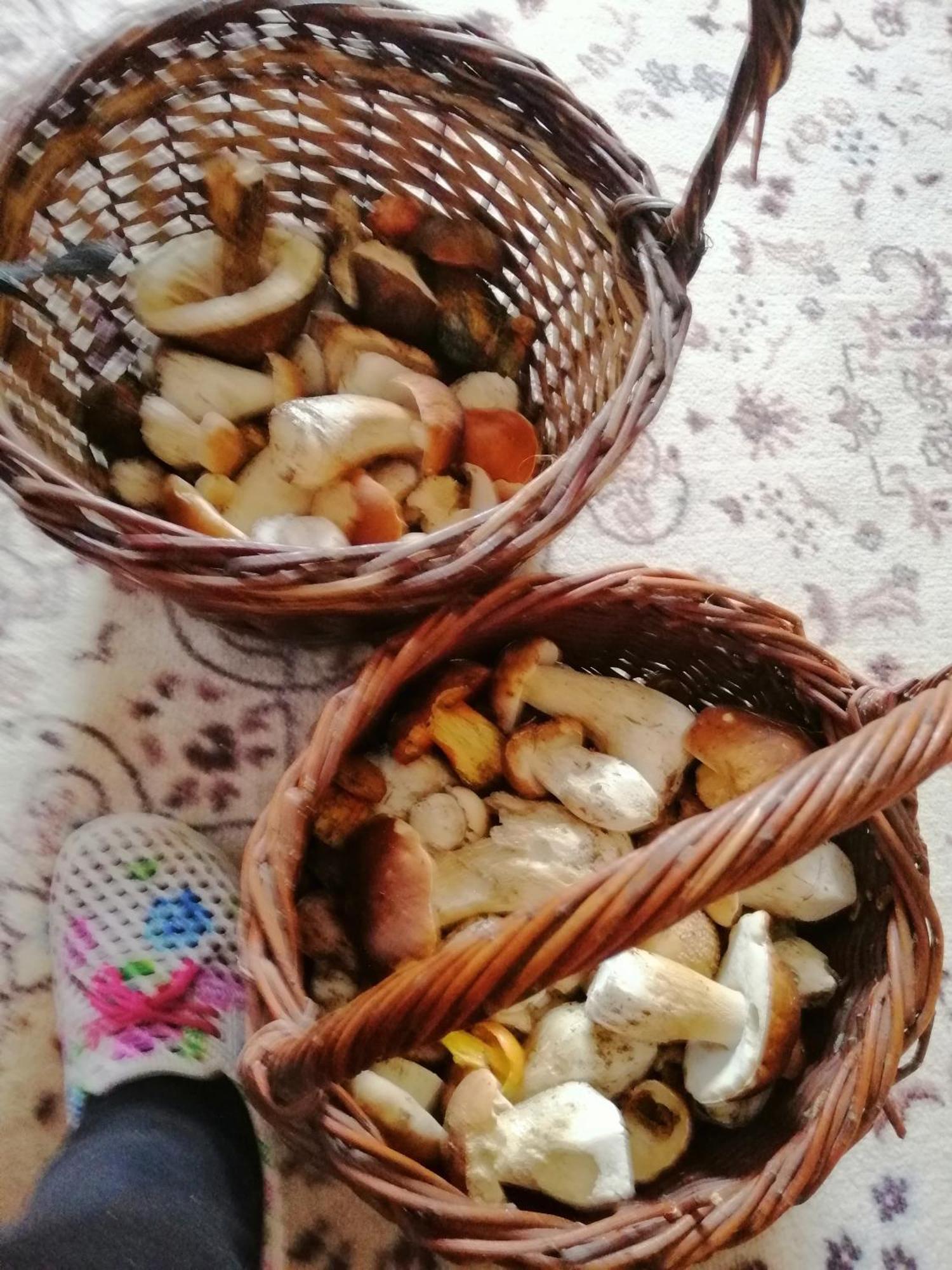Penzion Jura Chřibská Zewnętrze zdjęcie
