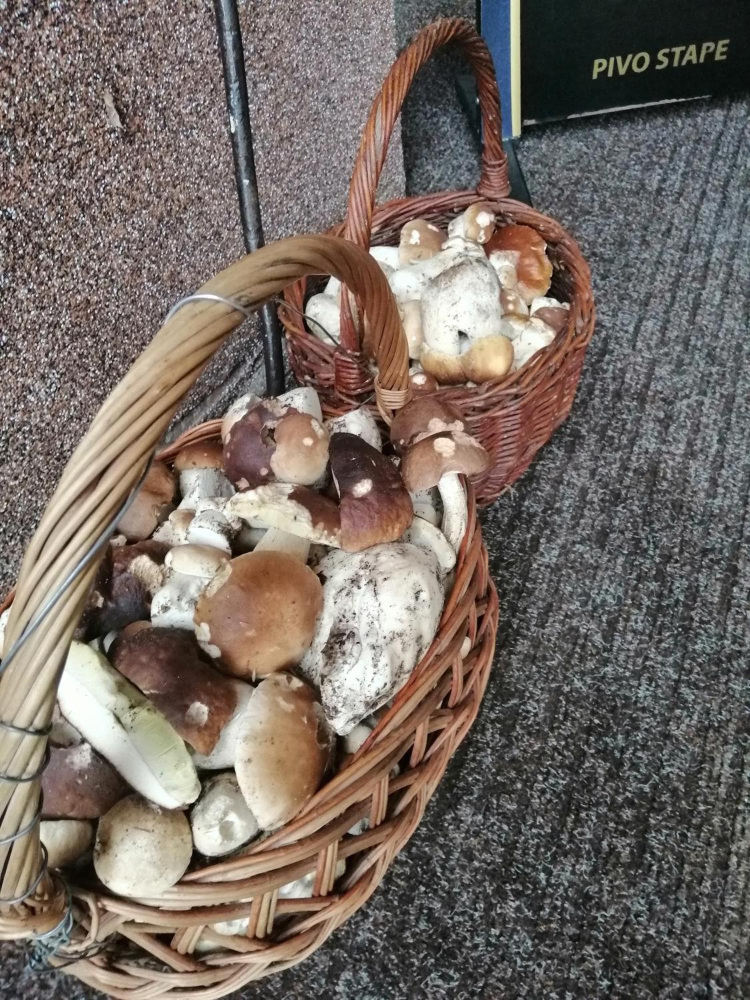 Penzion Jura Chřibská Zewnętrze zdjęcie