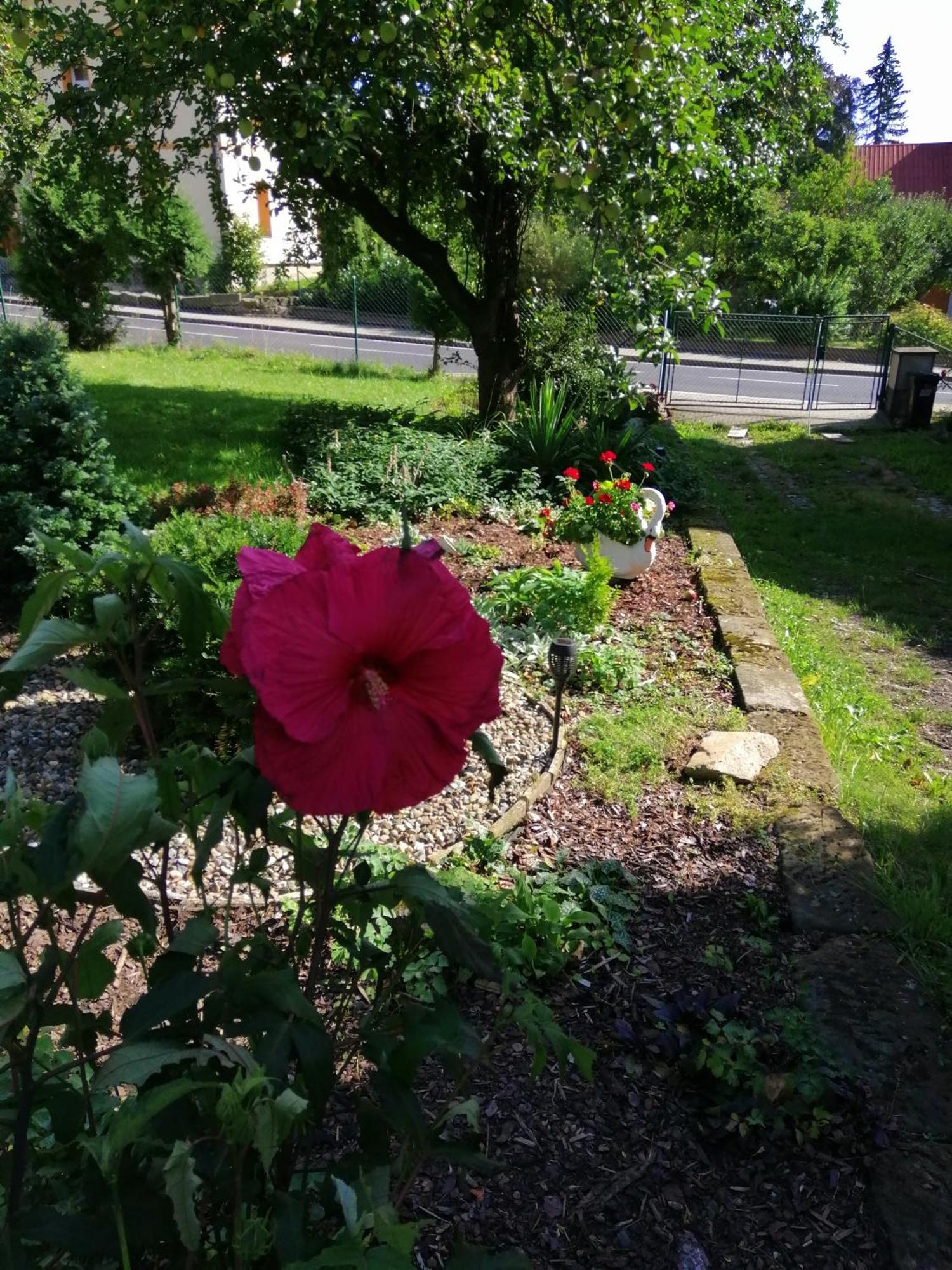 Penzion Jura Chřibská Zewnętrze zdjęcie