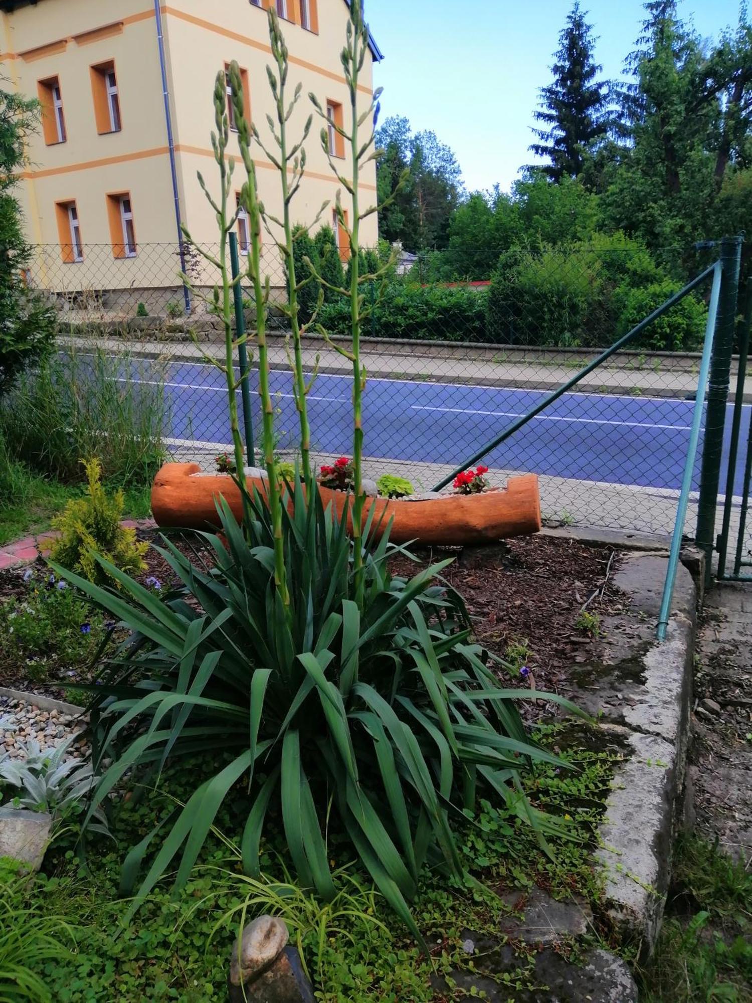 Penzion Jura Chřibská Zewnętrze zdjęcie